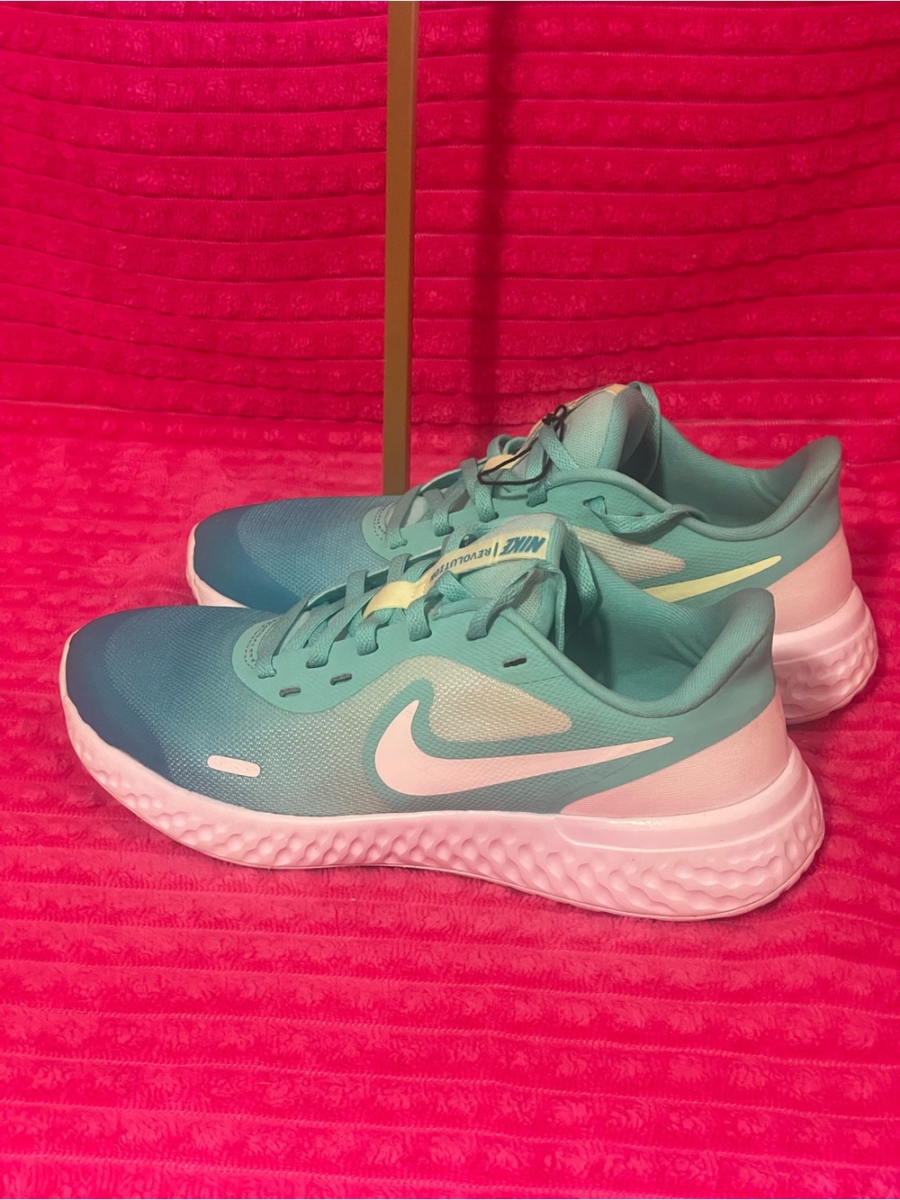 Nike Women's Teal Gradient Running Shoes - Teal/White